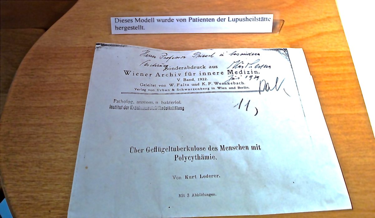 Narrenturm (Tower of Fools) (1).jpg